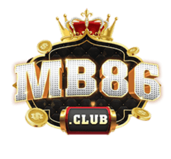 sudoku solver asset nyt
